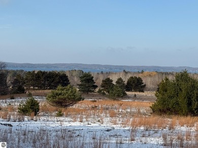 (private lake, pond, creek) Acreage For Sale in Alden Michigan