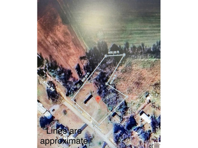 Opportunities like this don't come around often. This property - photo 10