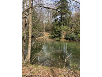 Middle Fork River Acreage For Sale in Ellamore West Virginia