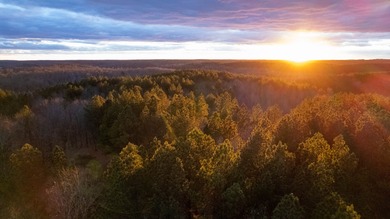 Tennessee River - Benton County Acreage For Sale in Holladay Tennessee