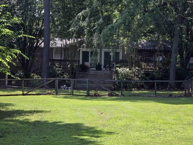OPEN HOUSE ON Sunday 7/19 11am-1pm - Excellent Chapin lakefront - photo 6