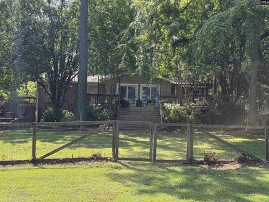 OPEN HOUSE ON Sunday 7/19 11am-1pm - Excellent Chapin lakefront - photo 7
