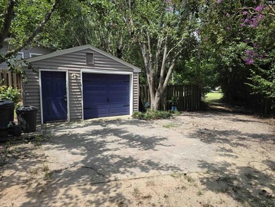 OPEN HOUSE ON Sunday 7/19 11am-1pm - Excellent Chapin lakefront - photo 10