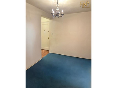 Elegant 2-Bedroom Co-op in Sheepshead Bay! Don't miss this - photo 11