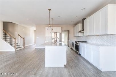 Welcome to 2620 Jacobs Canyon Lane in Knoxville, a beautifully - photo 8