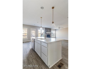 Welcome to 2620 Jacobs Canyon Lane in Knoxville, a beautifully - photo 9