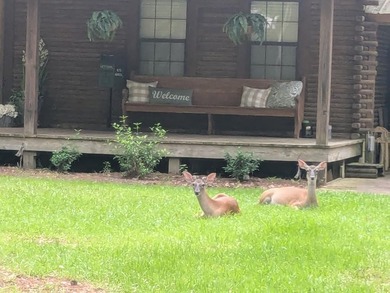 Escape to your own rustic haven in the heart of Pachuta, MS - photo 4