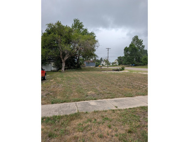 Great corner lot. Close to Downtown Ludington and Sterns Beach - photo 3