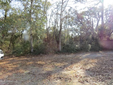 THESE PRIME 27 ACRES ARE ZONED FOR A RESIDENTIAL PUD. MOST OF - photo 10