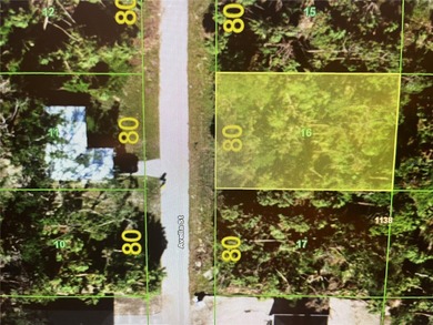 Port Charlotte Waterway Area Lot For Sale in Port Charlotte Florida