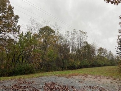 (private lake, pond, creek) Acreage For Sale in Brooksville Kentucky
