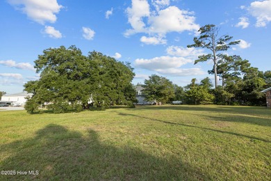Build your dream home on this gorgeous 80 x 125 lot in one of - photo 3