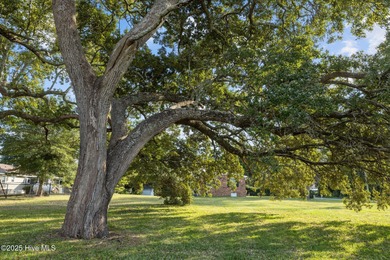 Build your dream home on this gorgeous 80 x 125 lot in one of - photo 4