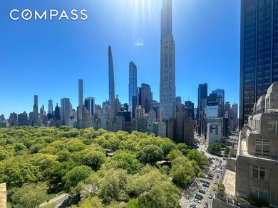 A True Home in the Sky Central Park Views, Unparalleled Outdoor - photo 4