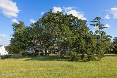 Build your dream home on this gorgeous 80 x 125 lot in one of - photo 5