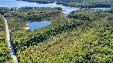 Lake Acreage For Sale in Poland, Maine