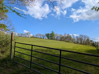 Private 21.5-acre hybrid-homestead in Western Pennsylvania - photo 36