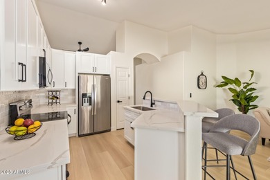 The Springs Lakes  Home For Sale in Chandler Arizona