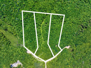 Lac Saint Victor Lot For Sale in Wentworth Nord QC