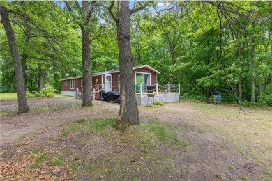 Lake Home For Sale in Workman Twp, Minnesota
