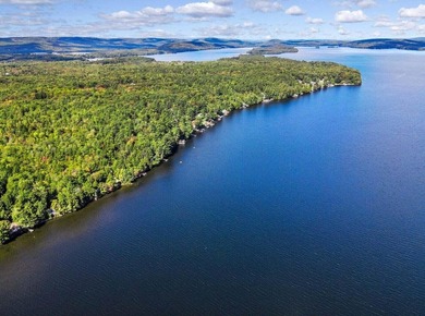 GREAT POND Escape to the lake & unwind in this classic 2BR/1BA - photo 56