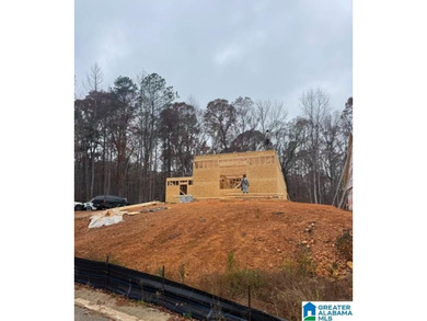 Lake Home For Sale in Chelsea, Alabama