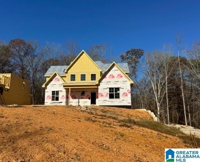 Lake Home For Sale in Chelsea, Alabama