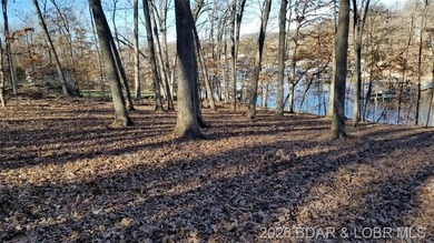 !.6 acres on beautiful Lake of the Ozarks. Gentle sloping lot - photo 11