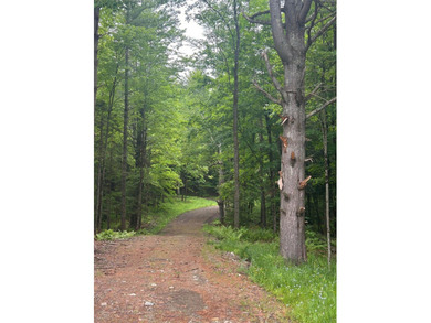 This unique piece of Vermont is now available, offering 10+- - photo 12