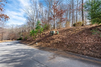 This exceptional homesite boasts breathtaking mountain views - photo 12