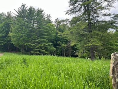 This unique piece of Vermont is now available, offering 10+- - photo 13