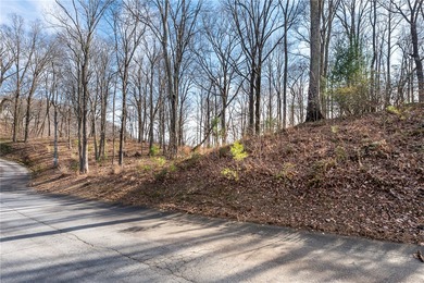 This exceptional homesite boasts breathtaking mountain views - photo 13