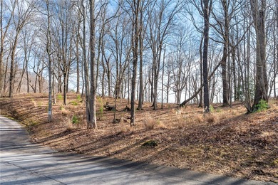 This exceptional homesite boasts breathtaking mountain views - photo 14
