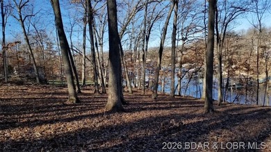 !.6 acres on beautiful Lake of the Ozarks. Gentle sloping lot - photo 15