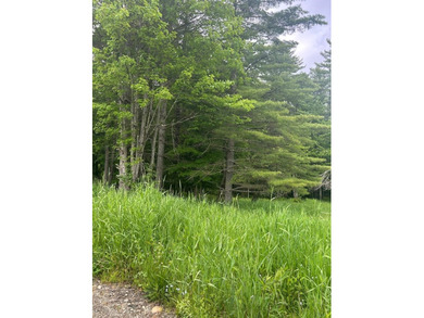 This unique piece of Vermont is now available, offering 10+- - photo 19