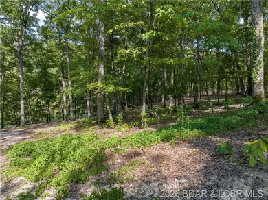 !.6 acres on beautiful Lake of the Ozarks. Gentle sloping lot - photo 20