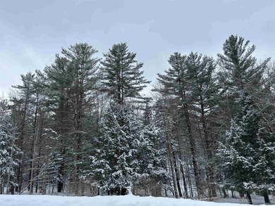 This unique piece of Vermont is now available, offering 10+- - photo 20