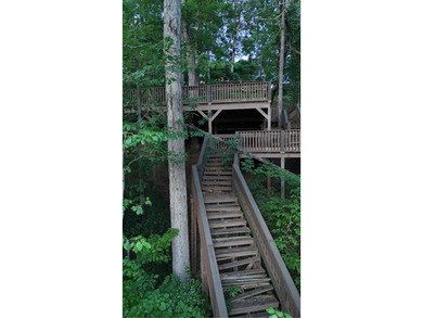 Perfect opportunity to build your dream waterfront home on Lake - photo 23