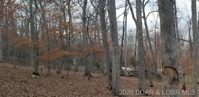 !.6 acres on beautiful Lake of the Ozarks. Gentle sloping lot - photo 24