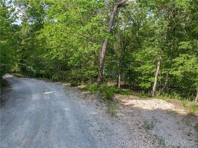 !.6 acres on beautiful Lake of the Ozarks. Gentle sloping lot - photo 25