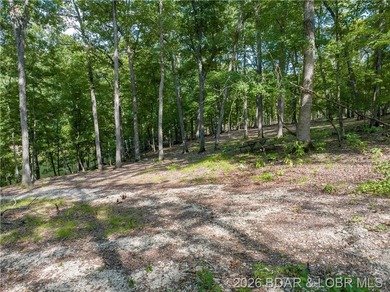 !.6 acres on beautiful Lake of the Ozarks. Gentle sloping lot - photo 27