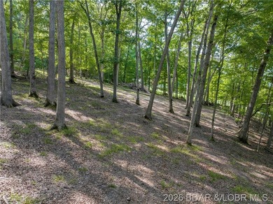 !.6 acres on beautiful Lake of the Ozarks. Gentle sloping lot - photo 28