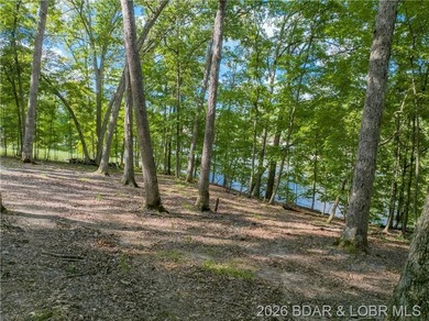 !.6 acres on beautiful Lake of the Ozarks. Gentle sloping lot - photo 29