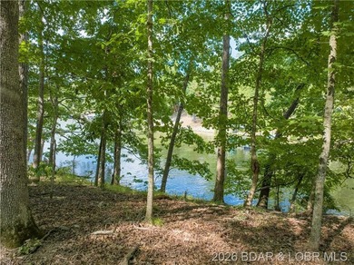 !.6 acres on beautiful Lake of the Ozarks. Gentle sloping lot - photo 30