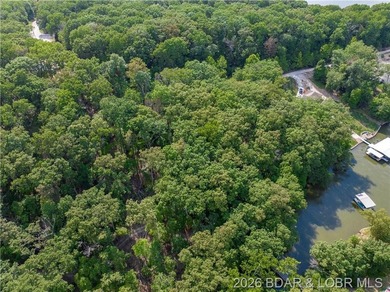 !.6 acres on beautiful Lake of the Ozarks. Gentle sloping lot - photo 34
