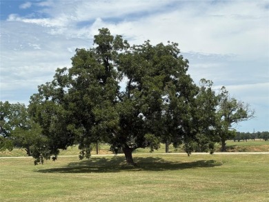 Lake Lot For Sale in Weatherford, Texas