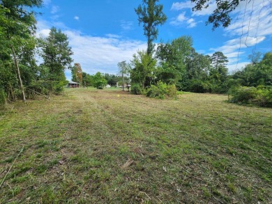 Lake Lot For Sale in Mayflower, Arkansas