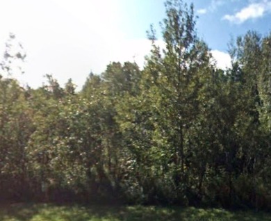 Lake Michigan - Emmet County Acreage For Sale in Levering Michigan