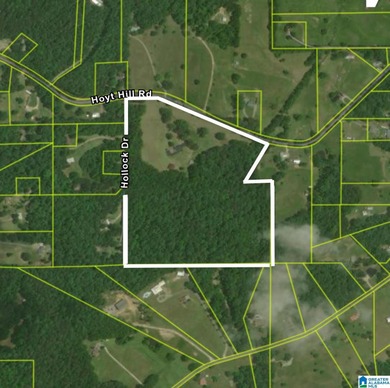 Lake Home For Sale in Ashville, Alabama