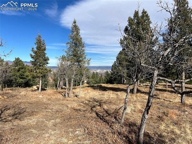 Hard to find private, mitigated lot in the gated upscale - photo 11